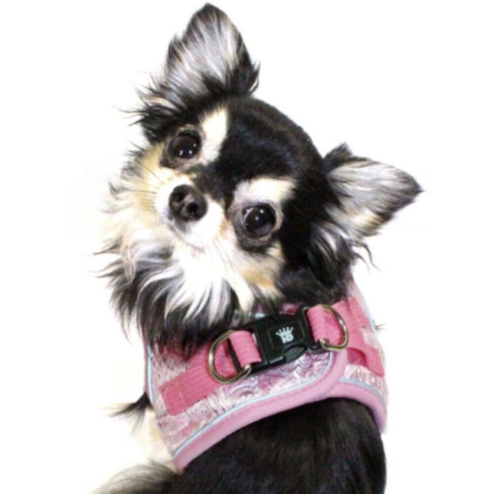 Pet Reflective Harness Vest - Pink Royal Elegance - SZ S  Fits14-16” girth/chest